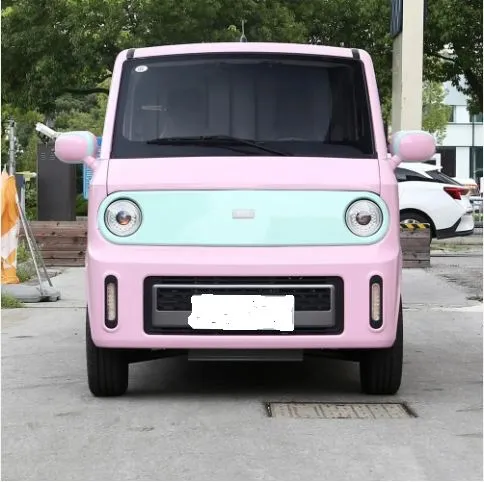 Xe Điện 2 Chỗ Tay Trái